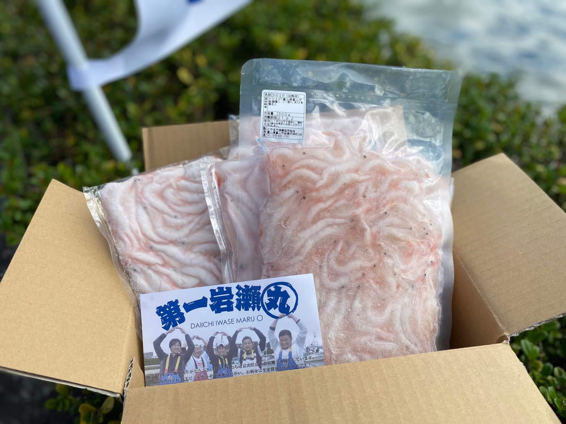 冷凍ぶどう(高尾)350g Ｘ7袋(真空パック) 冷凍高尾ぶどう 約350gx7パック｜長澤農園の通販・お取り寄せ